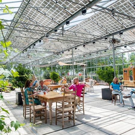 Achterhoeks Goed, Bed & Breakfast In Vragender Ngoại thất bức ảnh