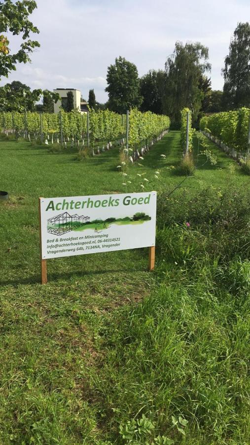 Achterhoeks Goed, Bed & Breakfast In Vragender Ngoại thất bức ảnh